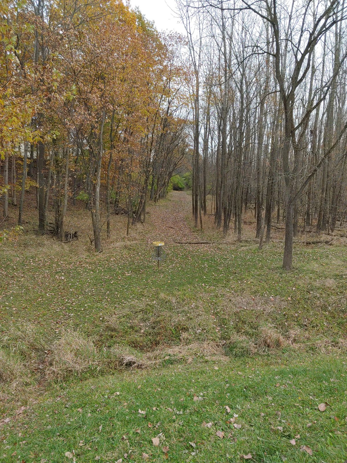 #5, looking back up the fairway