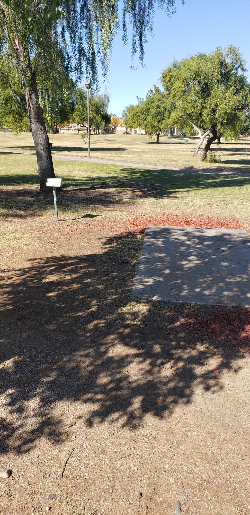 hole 6 tee