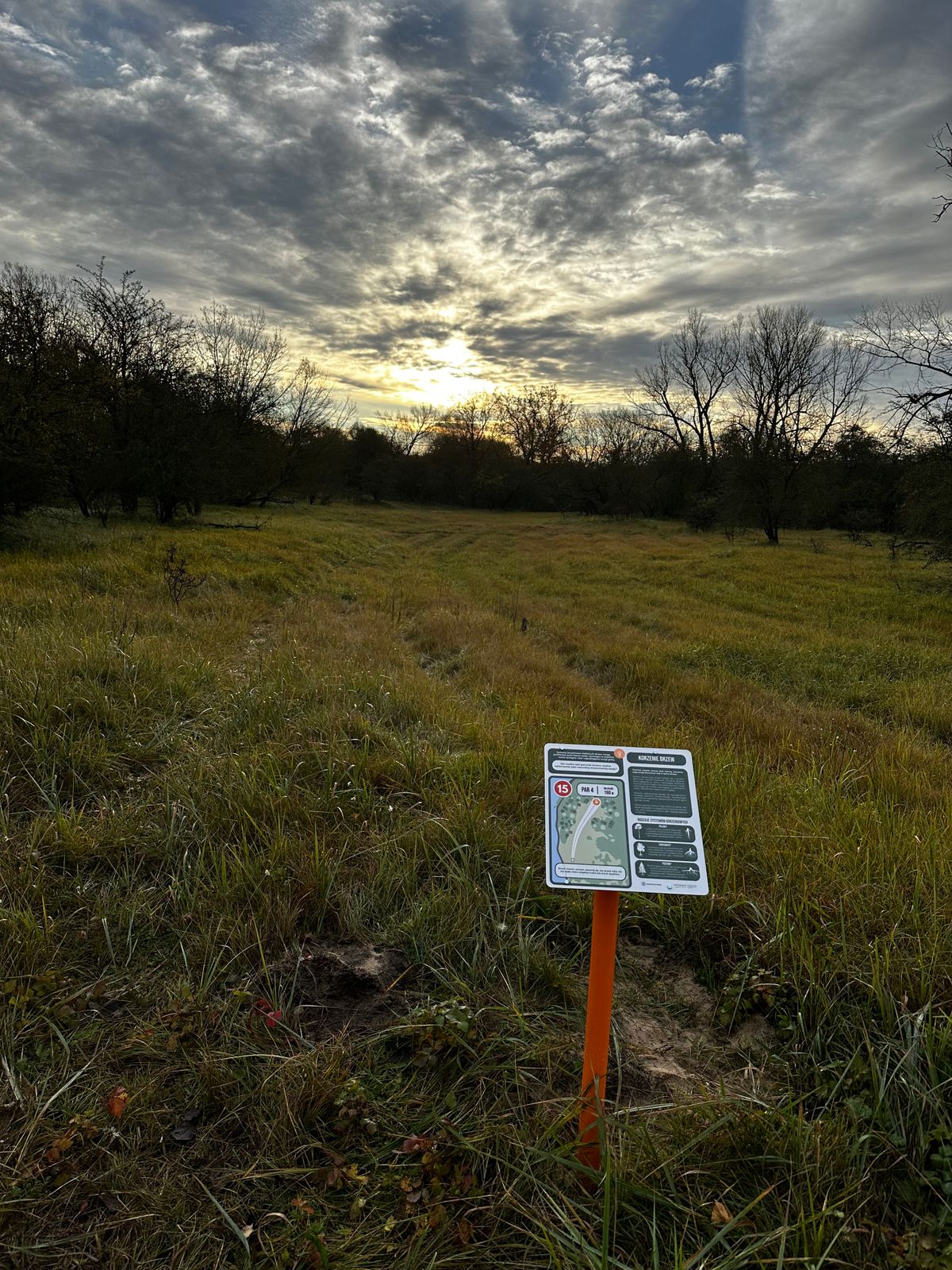 Hole 15