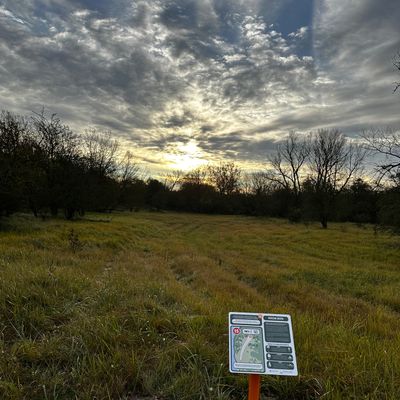 Hole 15