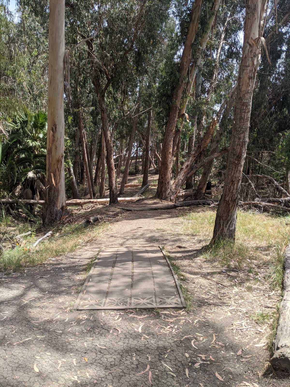 Hole 8