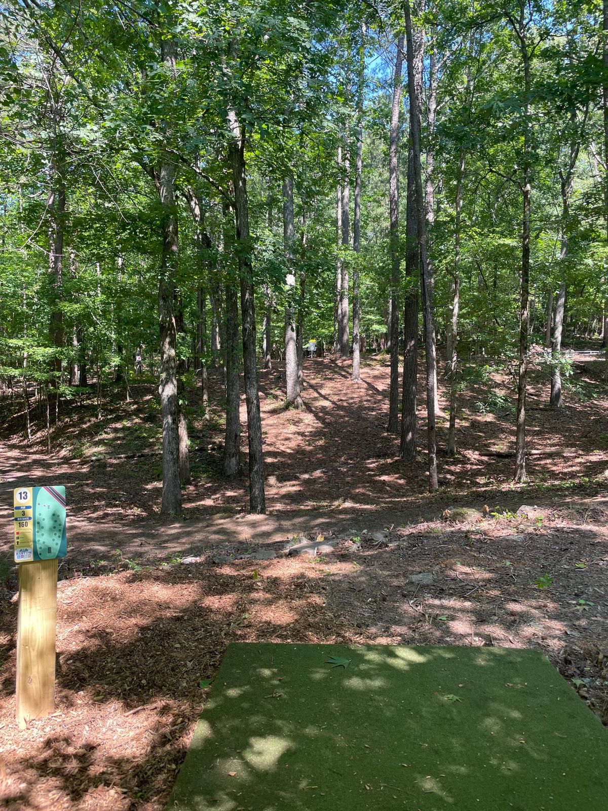 13 tee