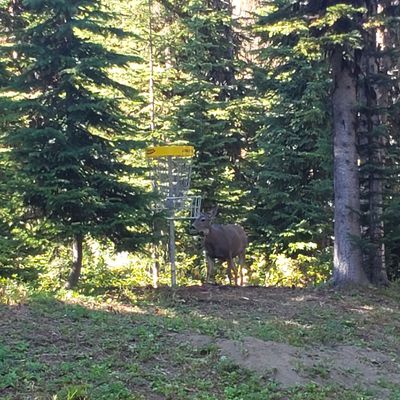 Local resident inspecting #2 target