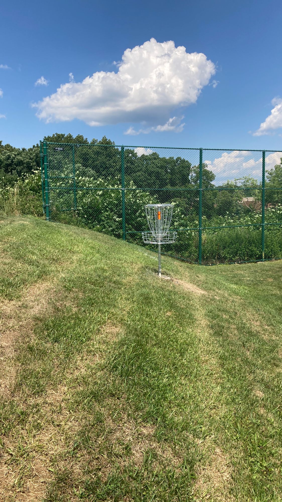 Hole 8 Basket Which Rests On The Hill.
