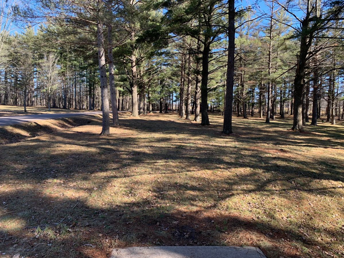 Hole 14 tee