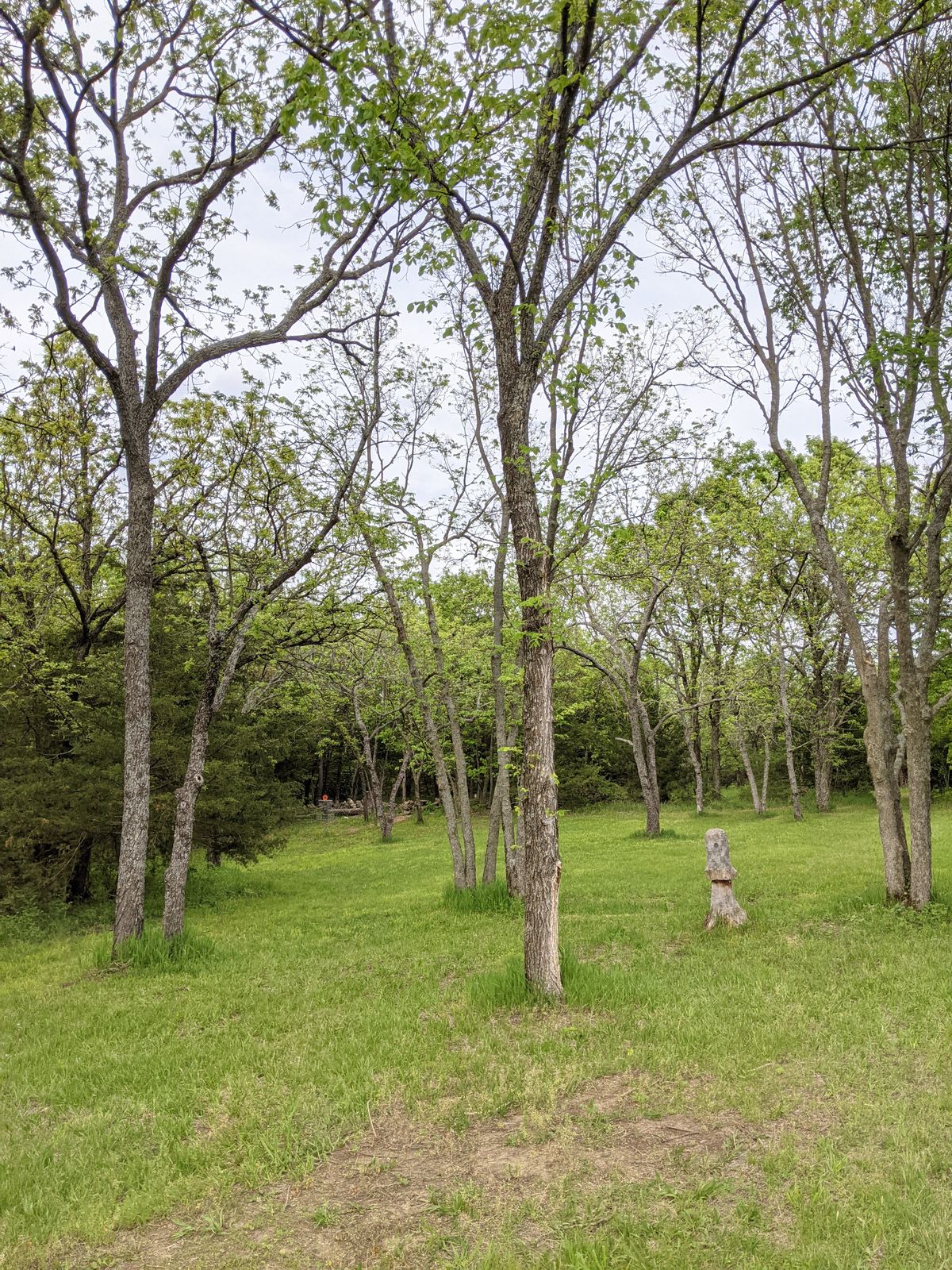 Fairway 4