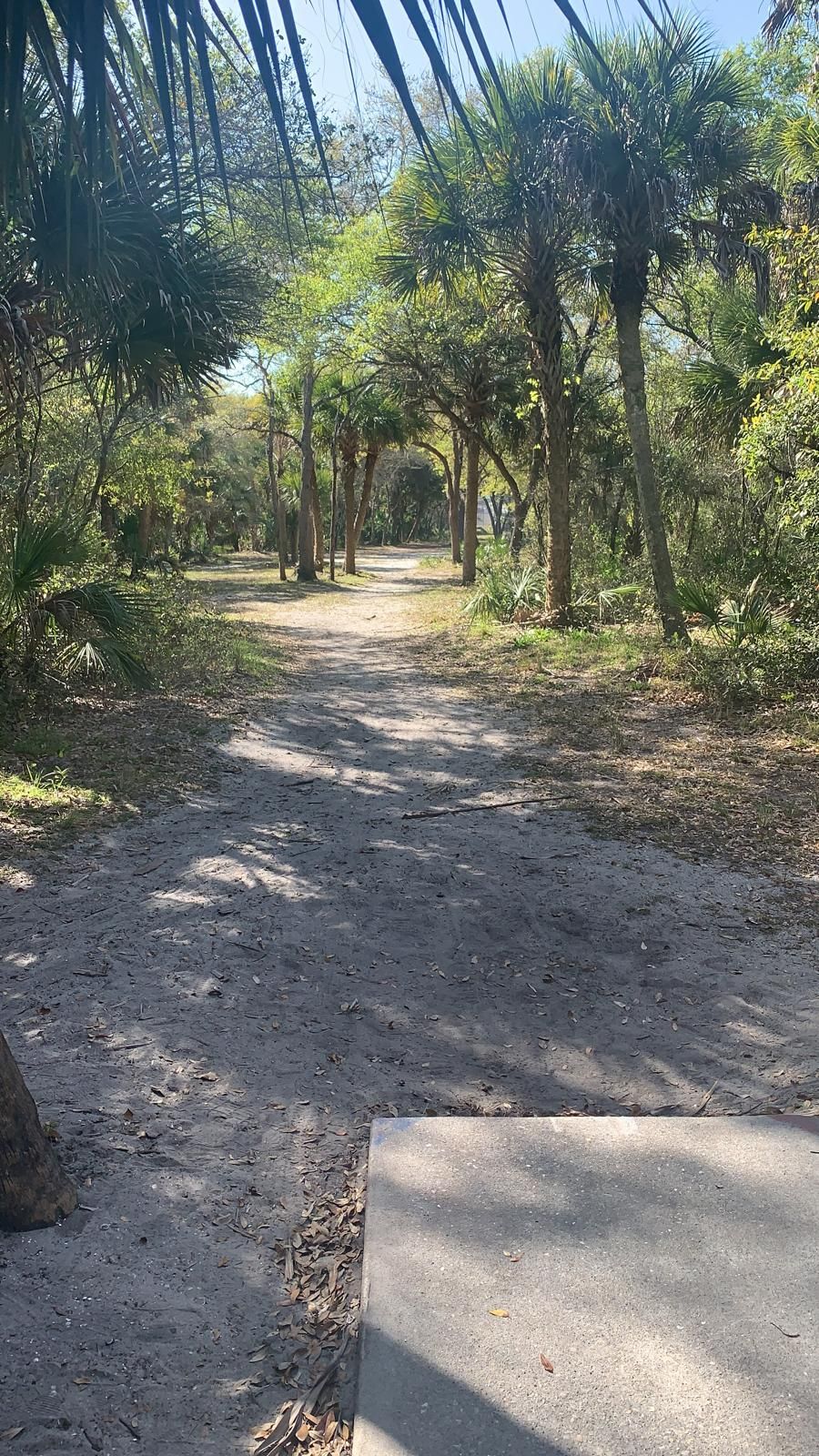Hole #6
