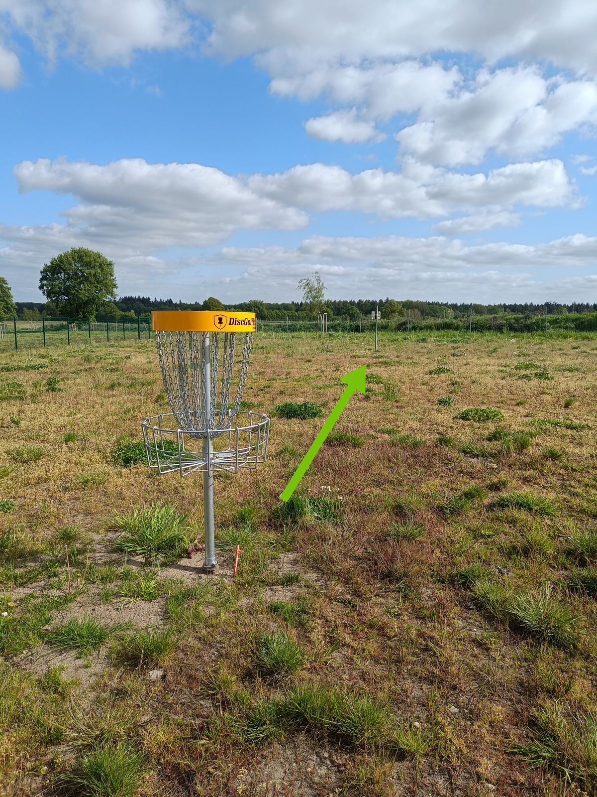 Korb 4
Weg zu Tee 5