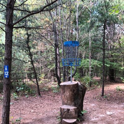 Elevated basket 11