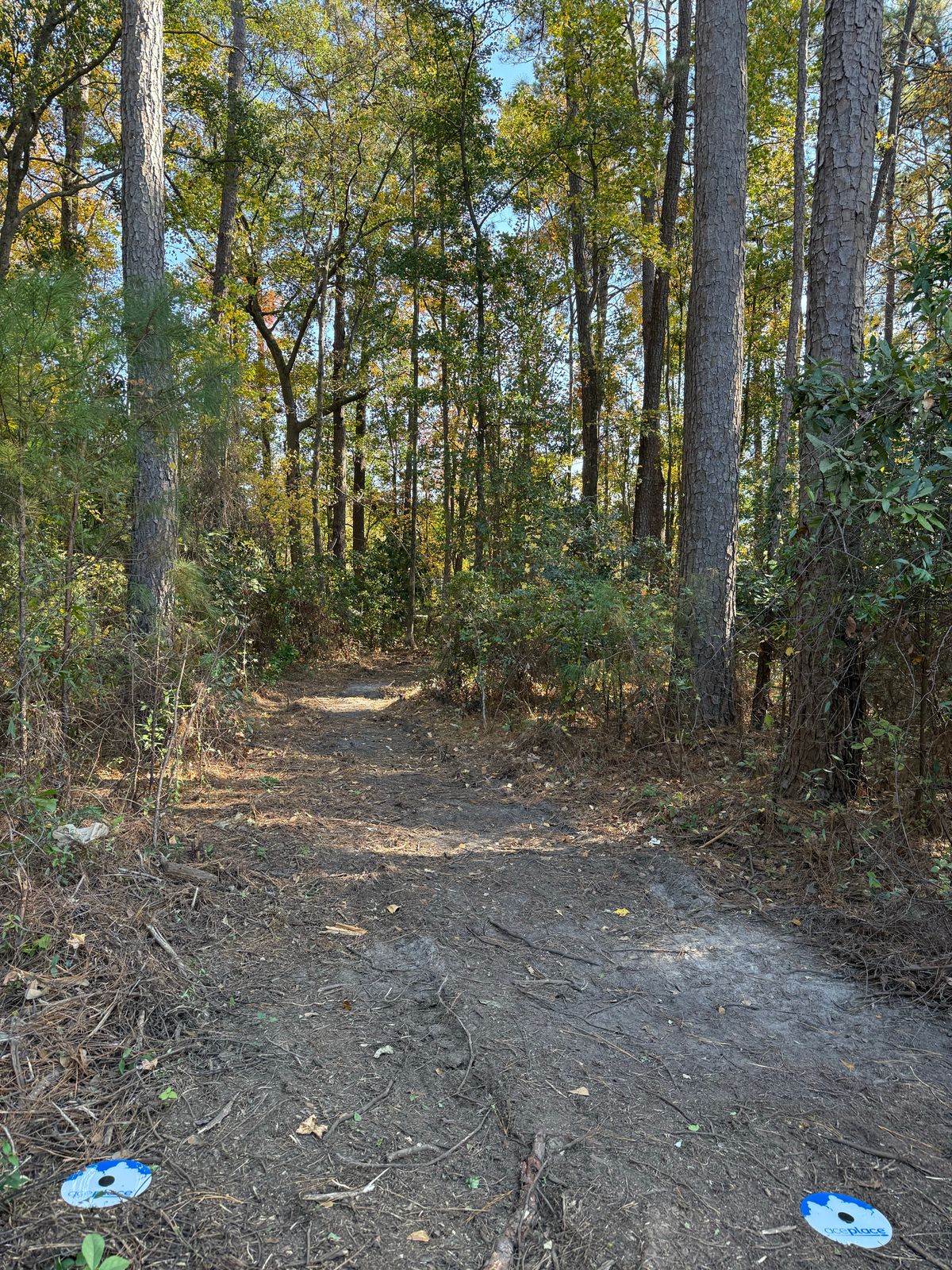 Hole 3 tee. Fairway turns sharply to the right.