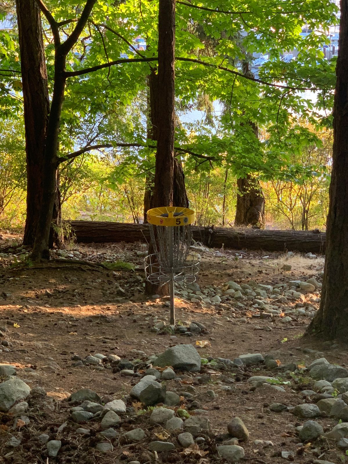 One of the more open basket locations, #5.