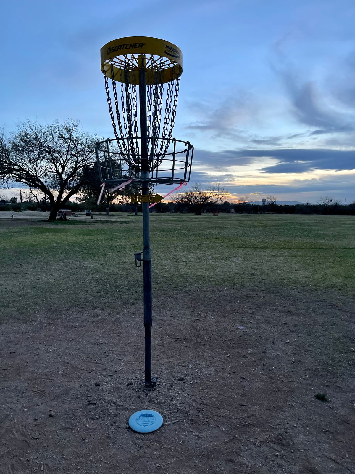 Parked for birdie