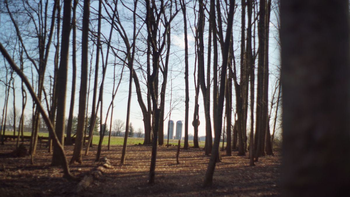 View from hole 5 tee pad towards baskets