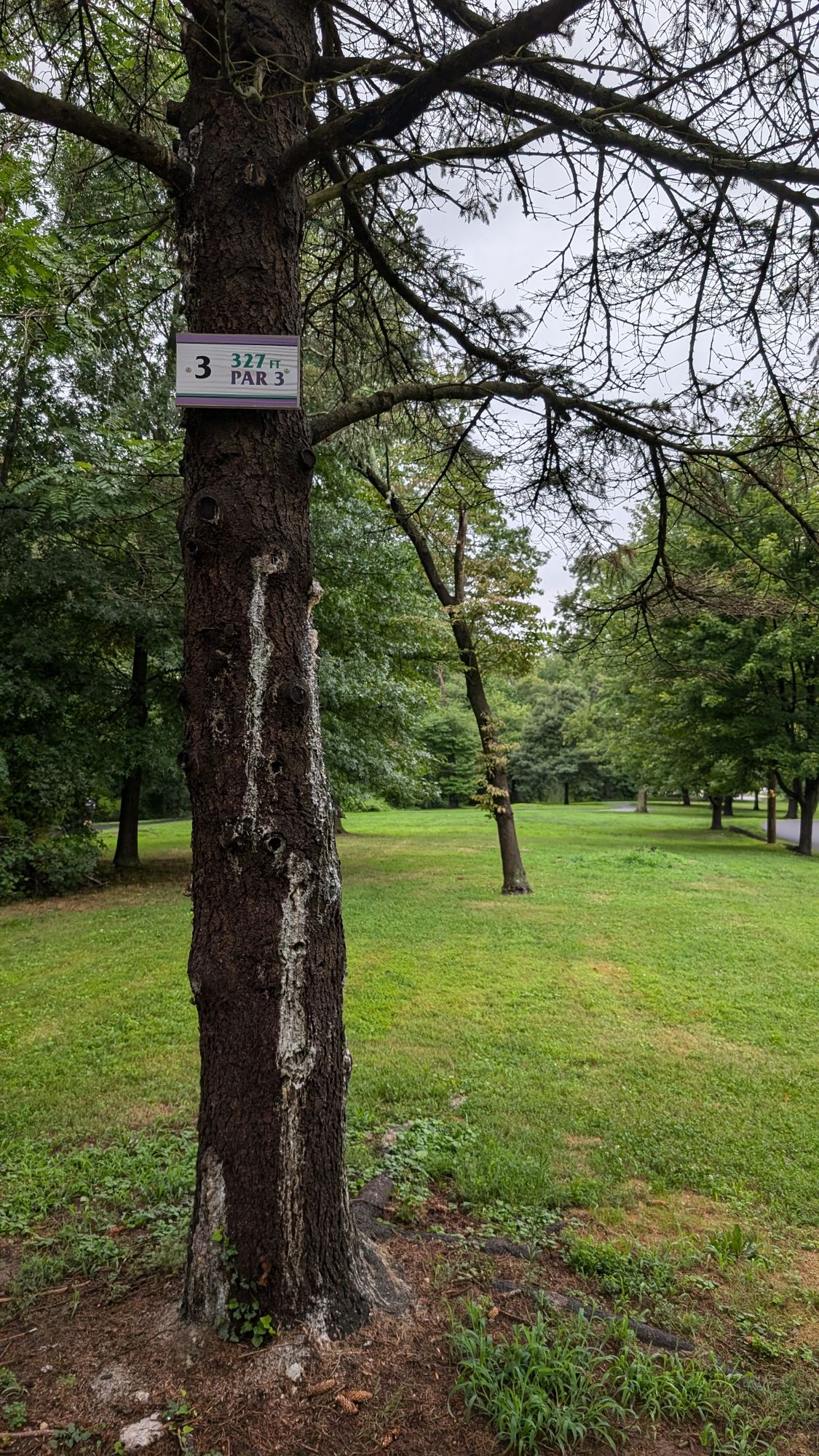 Hole 3 Tee (new sign)