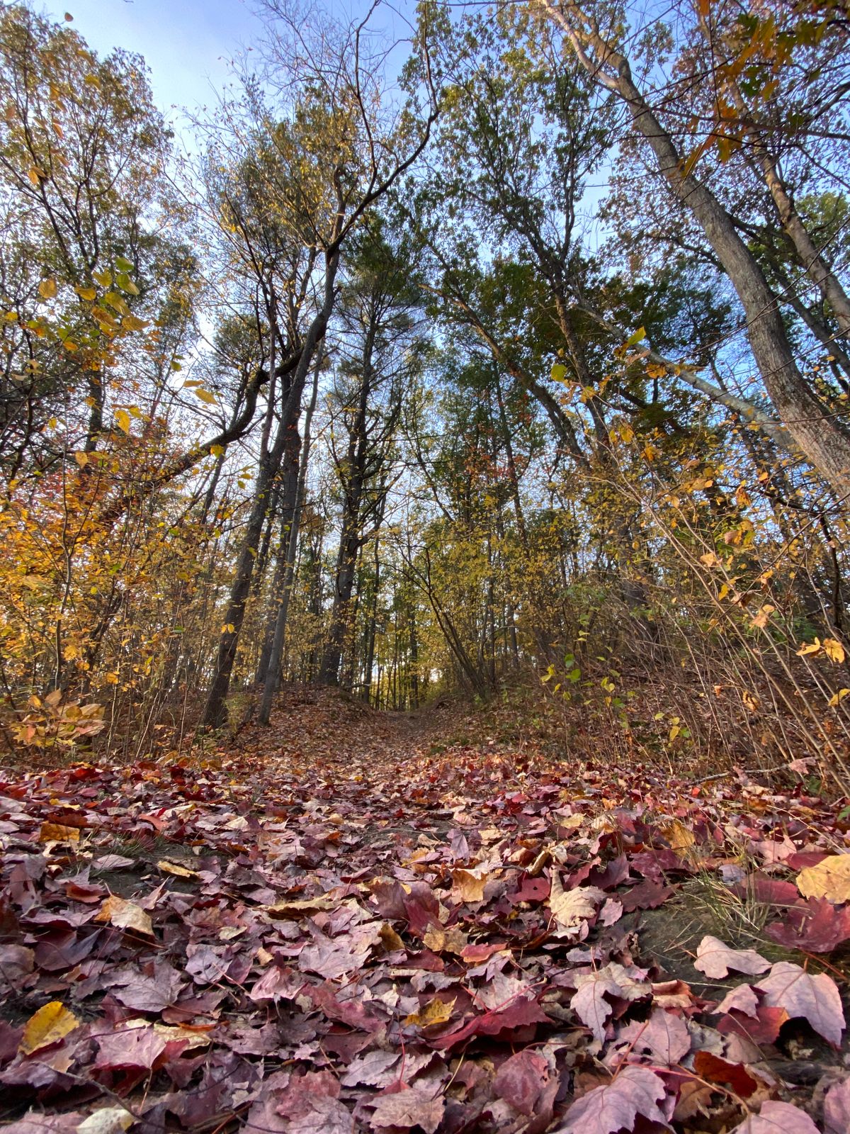 The path up the hill to hole 6. Looking good in fall time