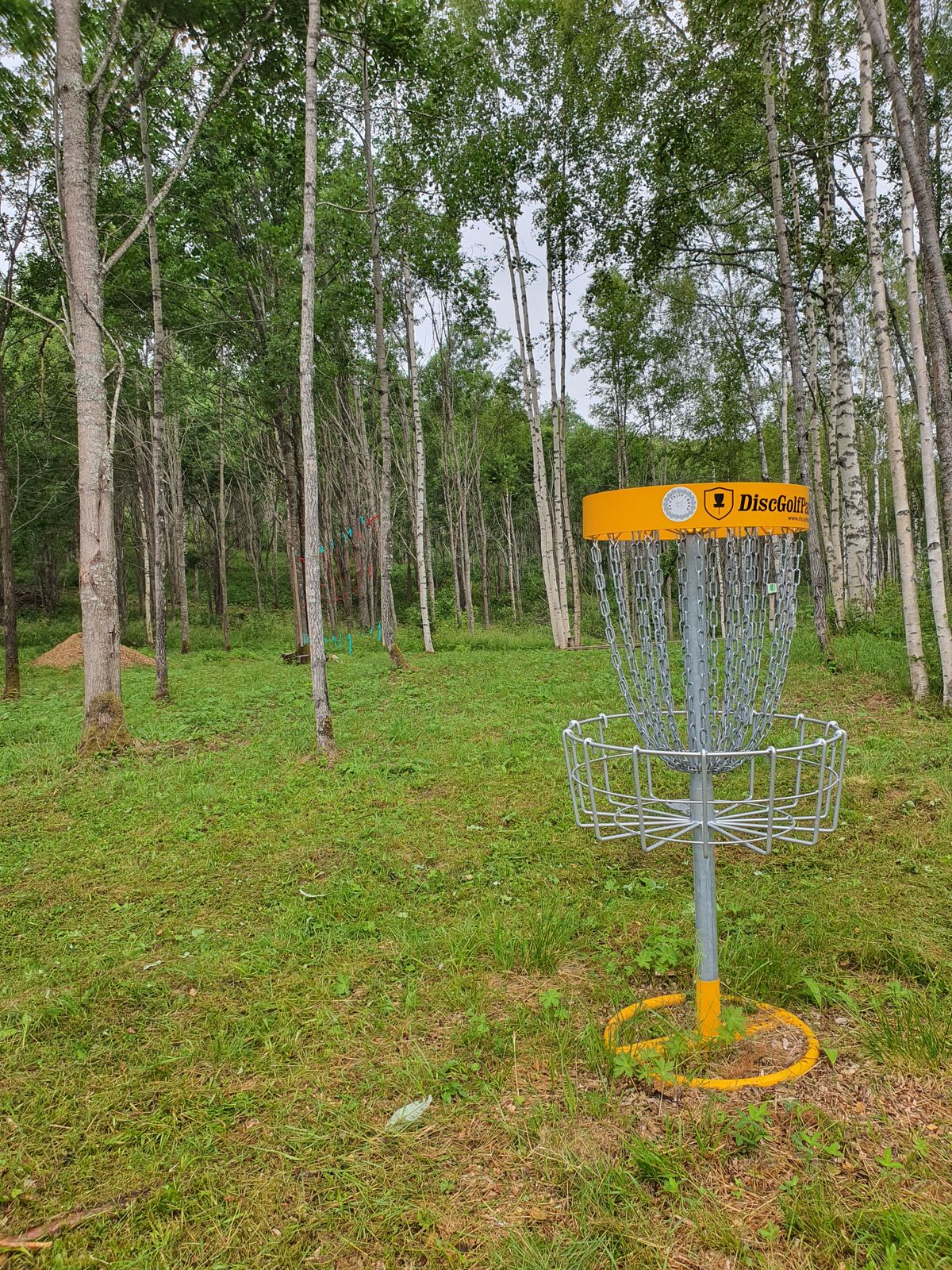 Innova DiscGolfPark Pro Target