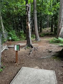 Hole 4 - White Tee