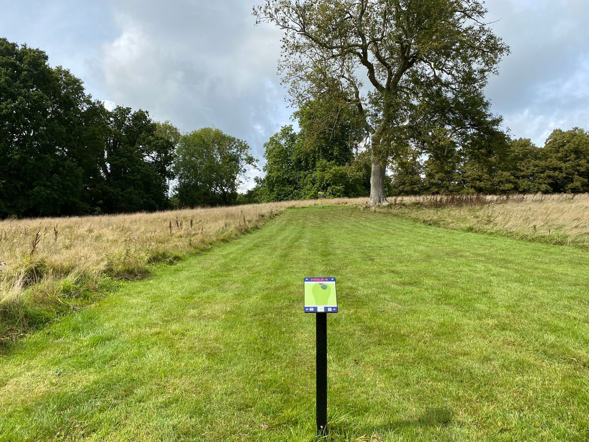 Hole four short tee