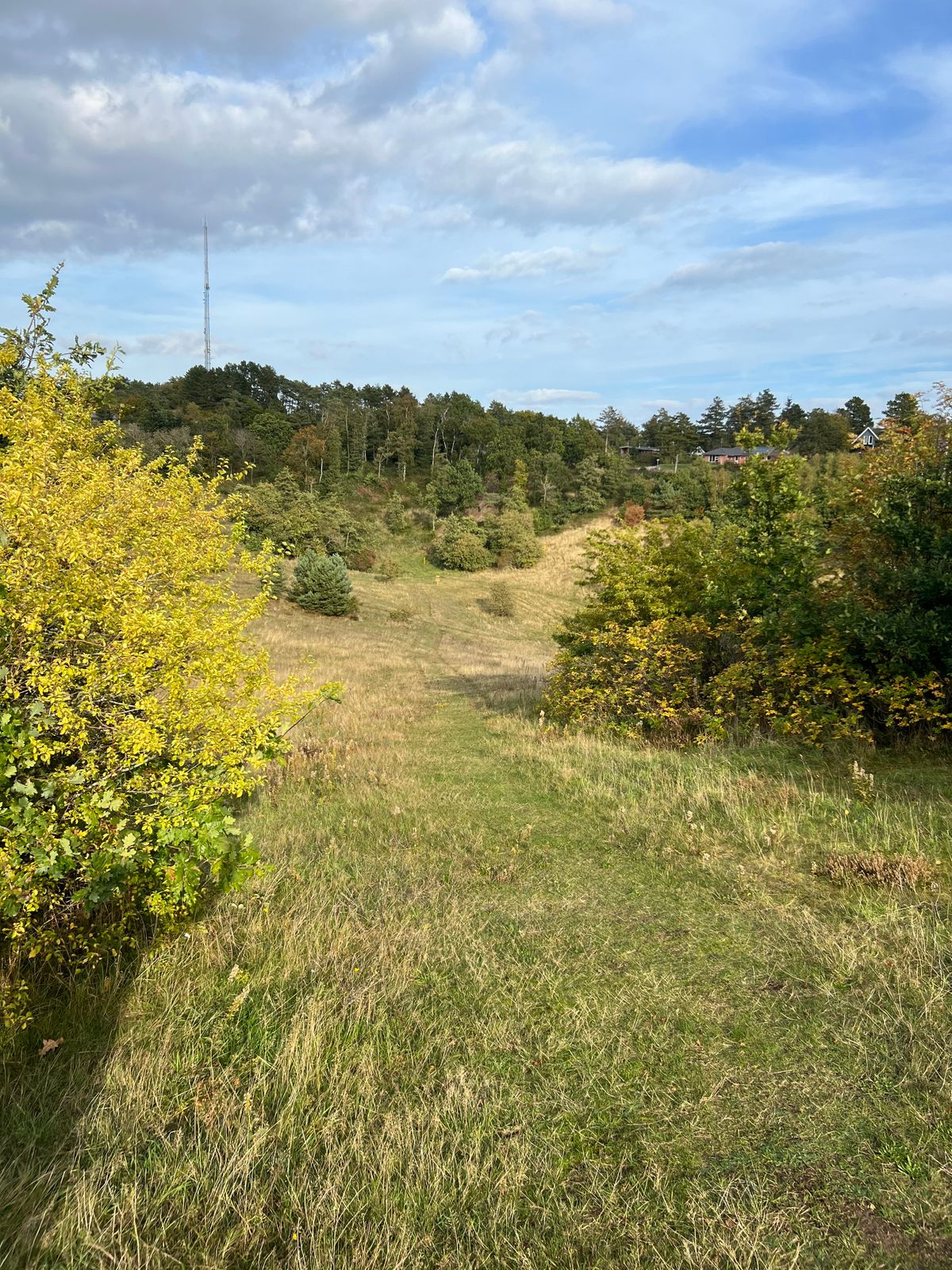 Hul 12 - Danmarks længste par 3 hul