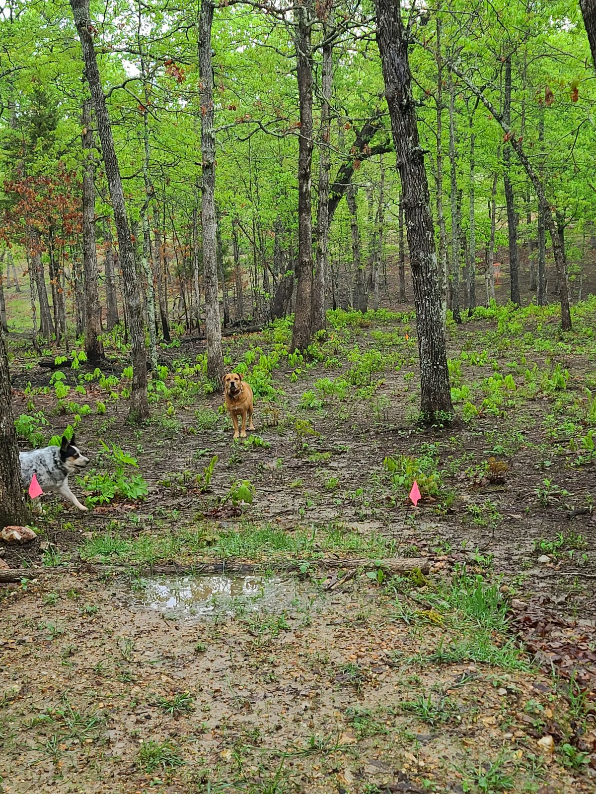 Hole 3 A pad