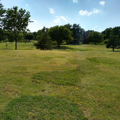 Some open fairways and some with a lot of trees.