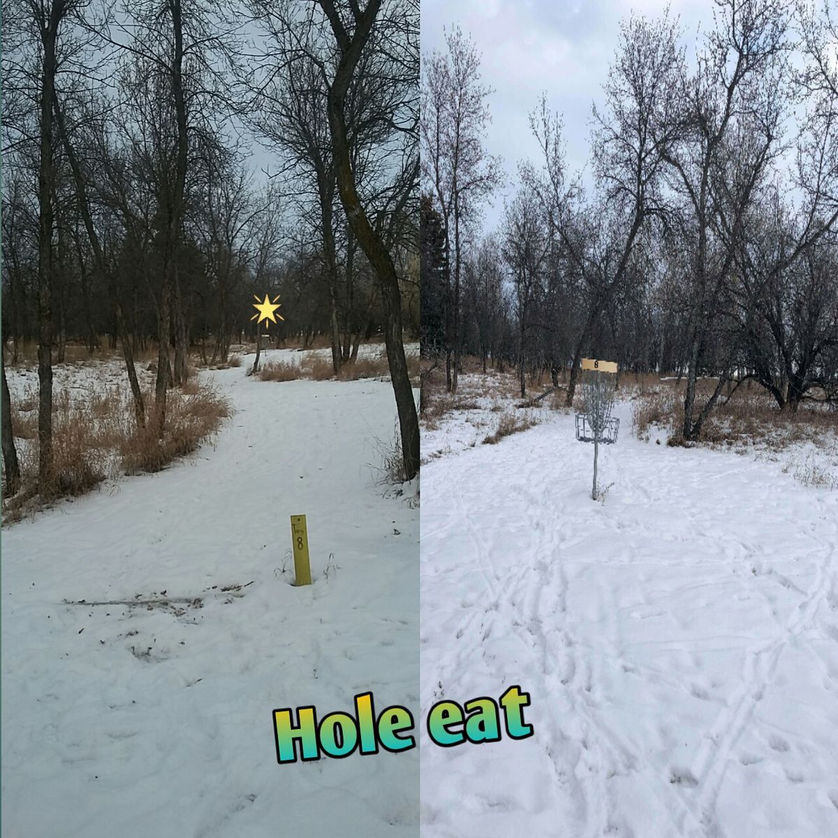 Hole 8 . Pretty straightforward shot just go for it.