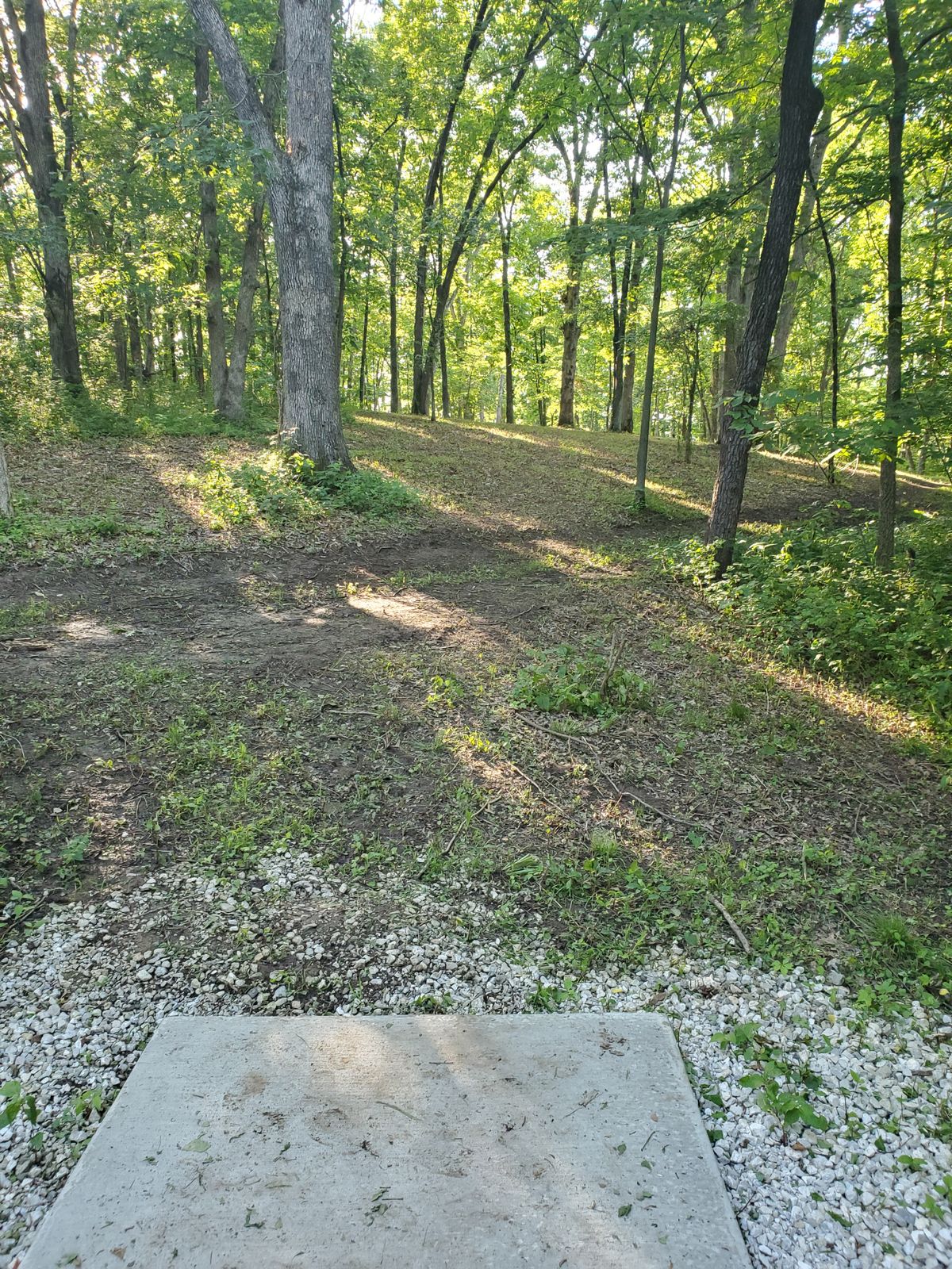 Hole 7 Short Tee Pad