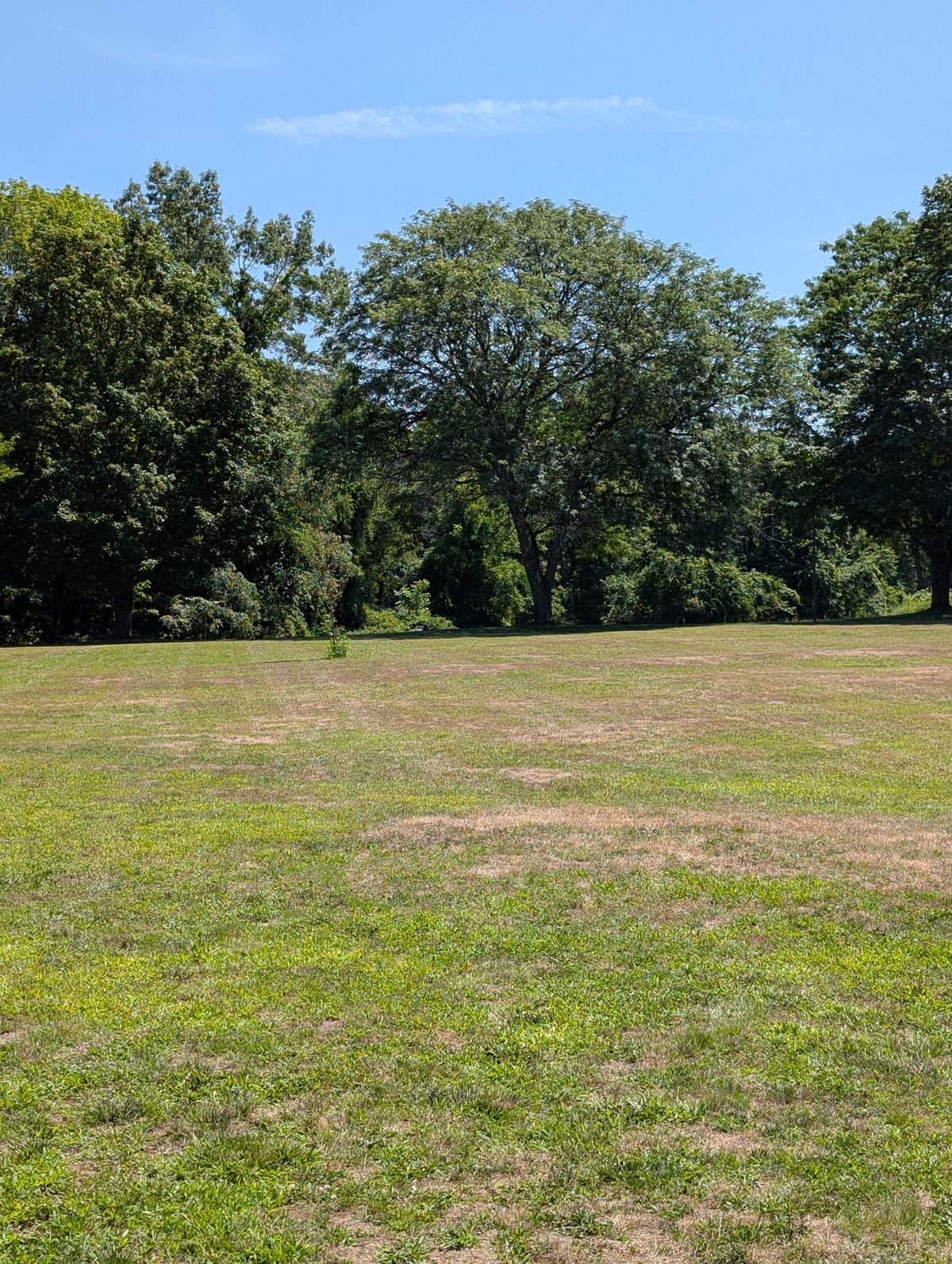 Hole 7, Teepad to Basket. Basket is over a road down a slight hill.