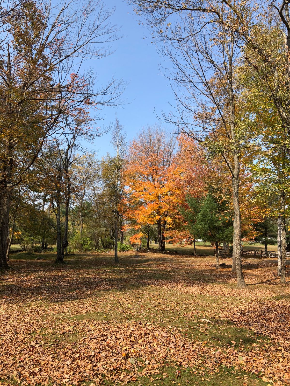Hole 1, next to parking lot.