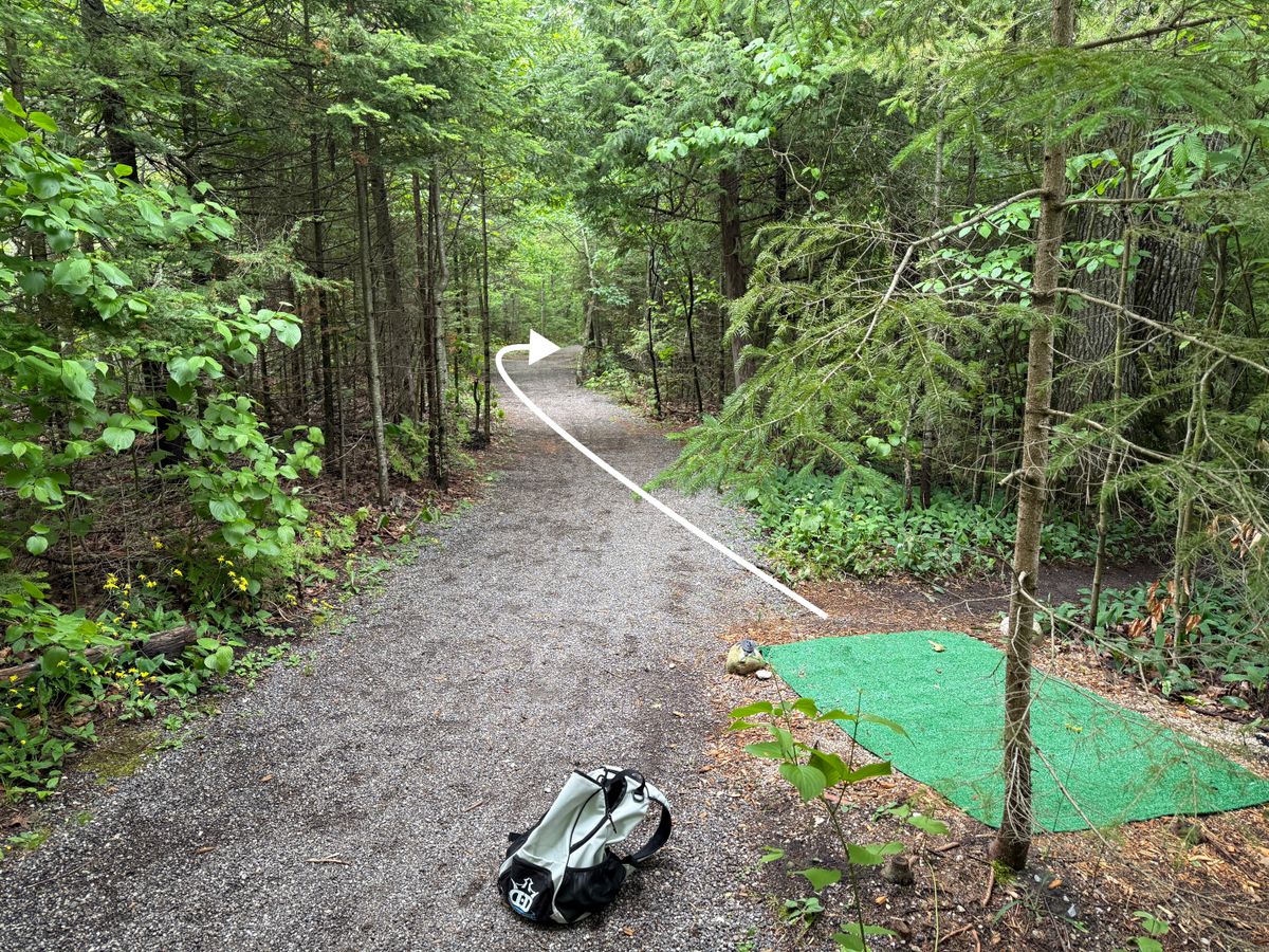 Hole 3 - blind left-right hook shot down trail