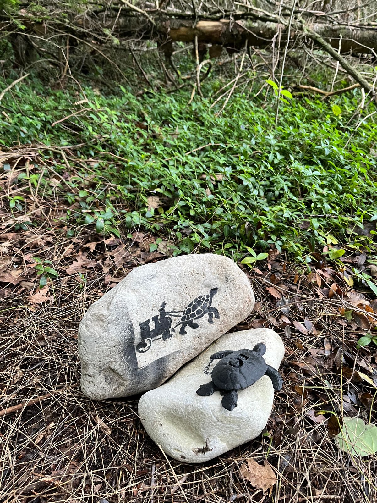 Hole 5 tee marker