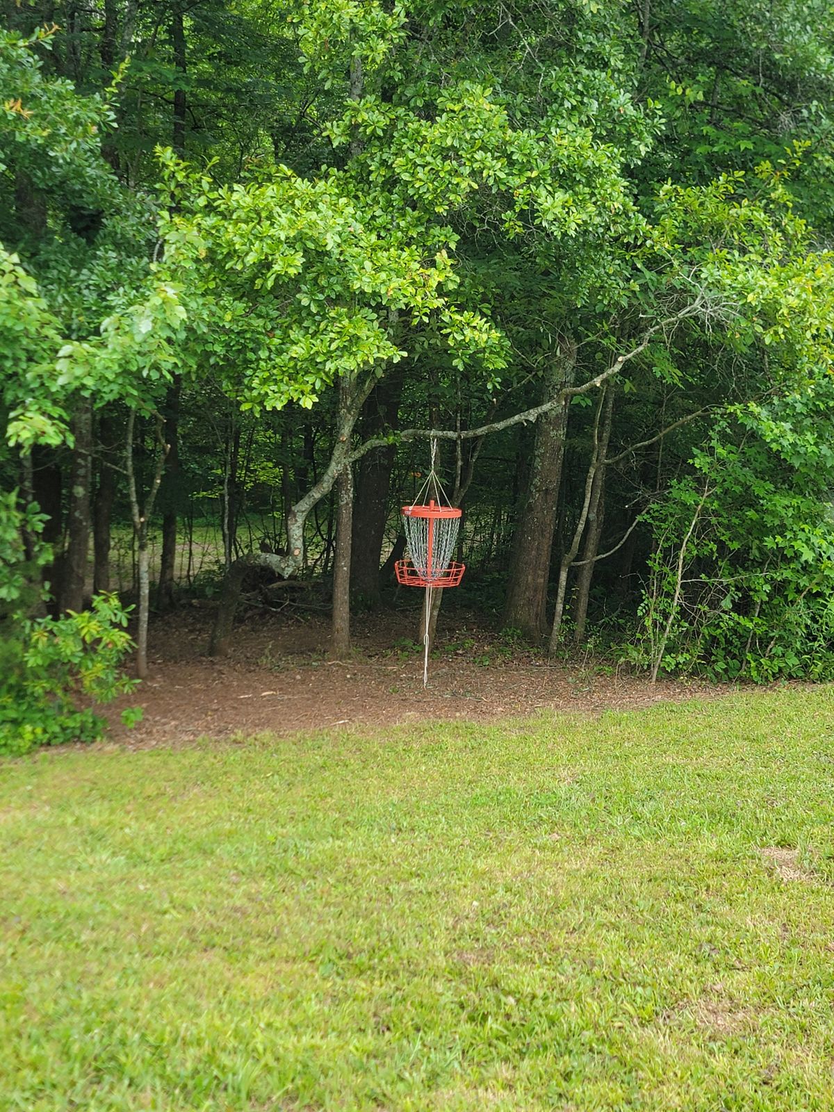 Hole 16, the hanging basket hole