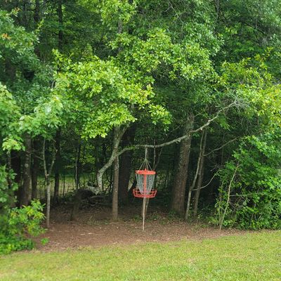 Hole 16, the hanging basket hole