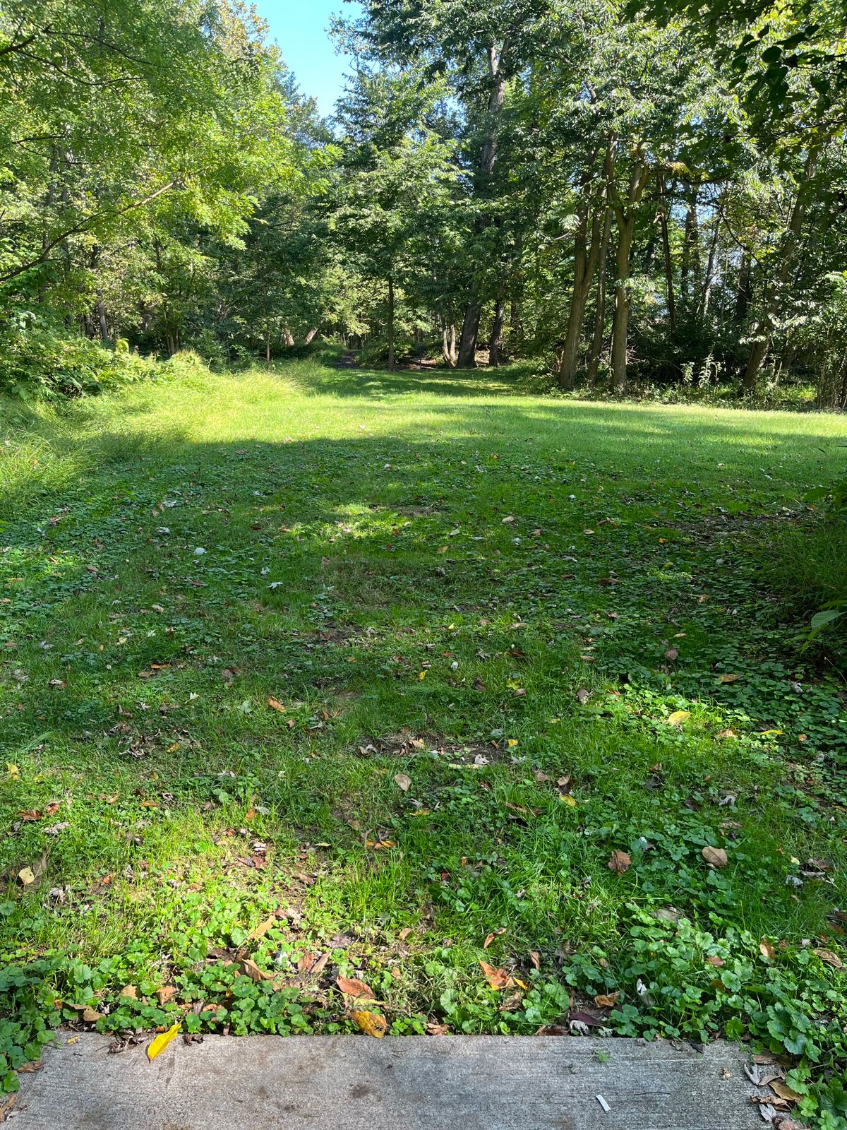 Hole 11