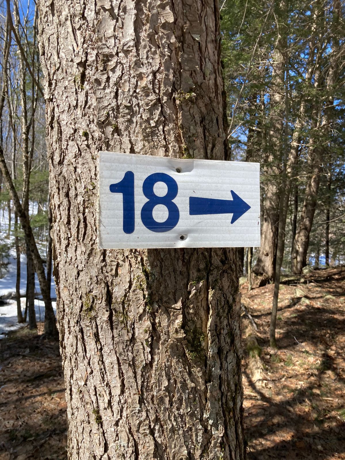 To the last hole!