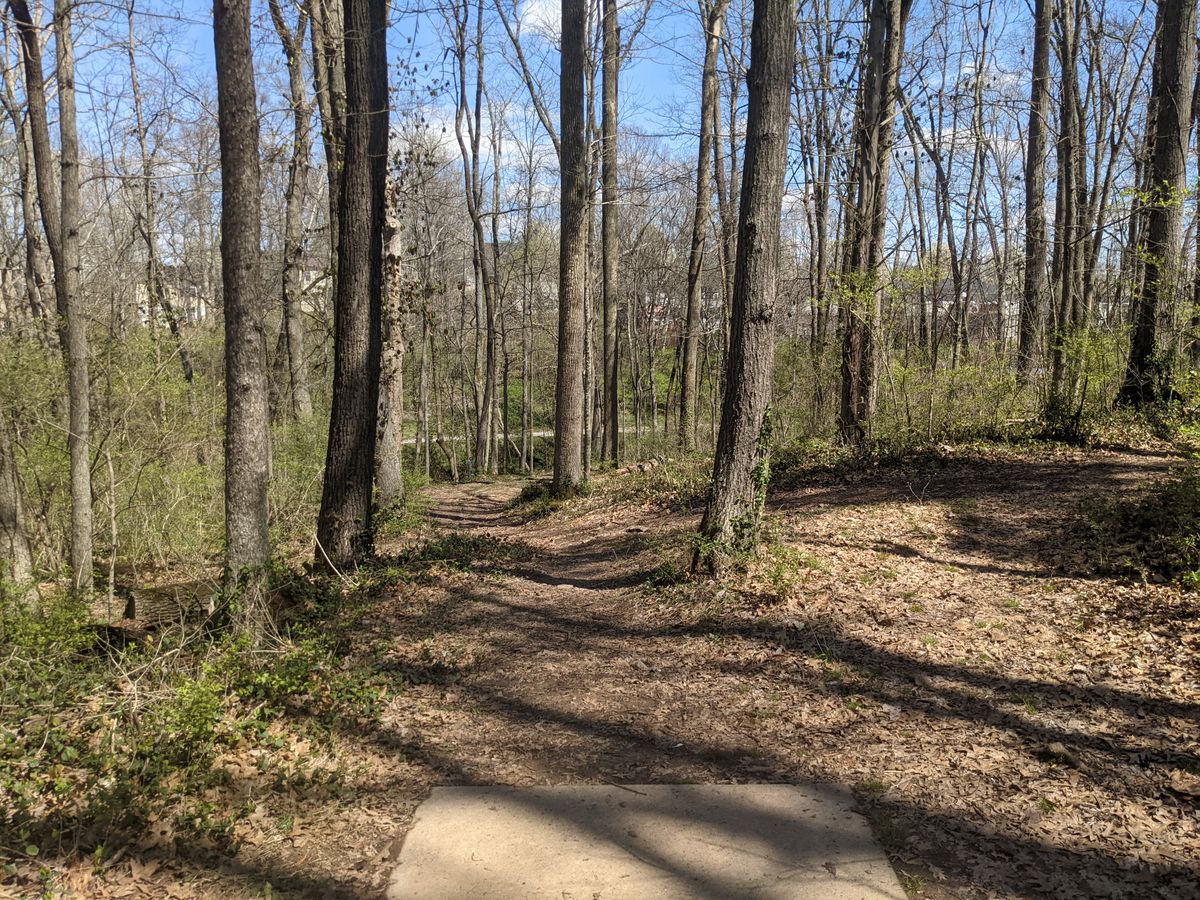 A good look at the first choice you will have to make on hole number 5.  A longer shot turning left to right and avoiding the trees or a narrow straight shot that has to hit an initial gap and stay straight for 200 feet.