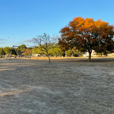 Hole 5