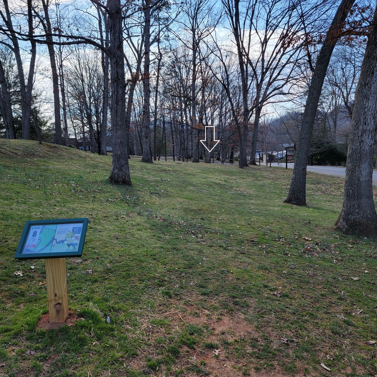 Hole 8