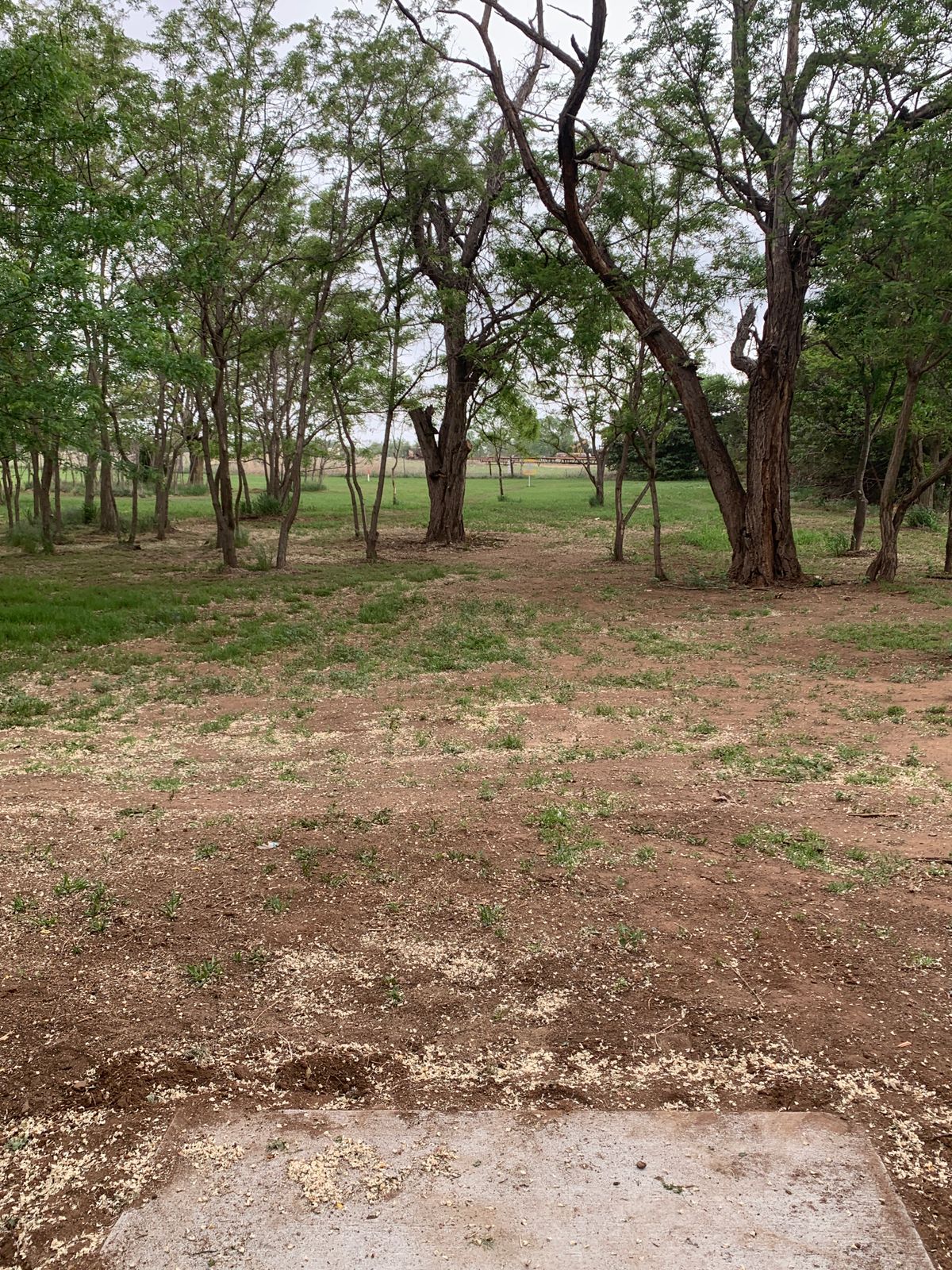 Hole 2