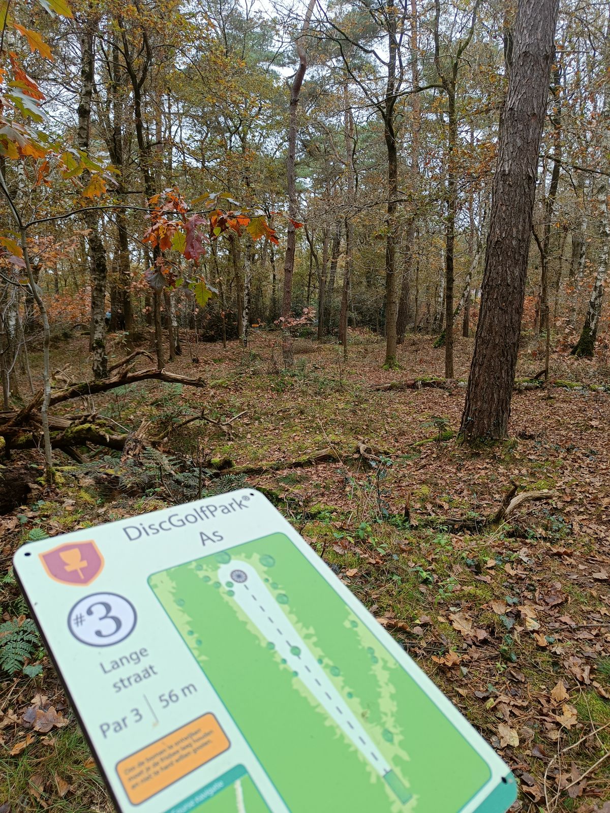 Hole 3