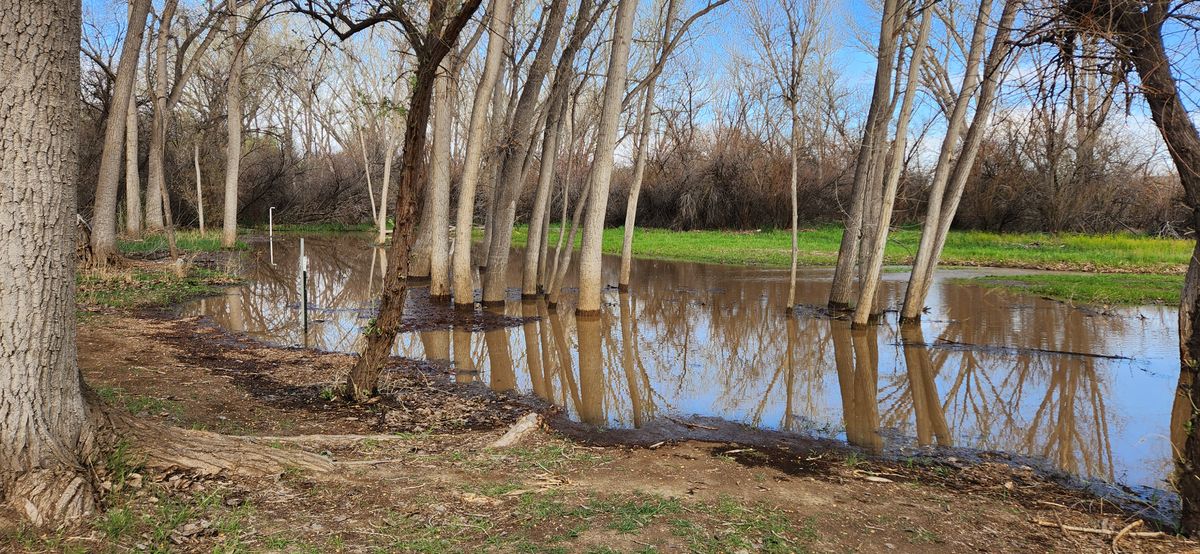 Hole 13  5-4-23
