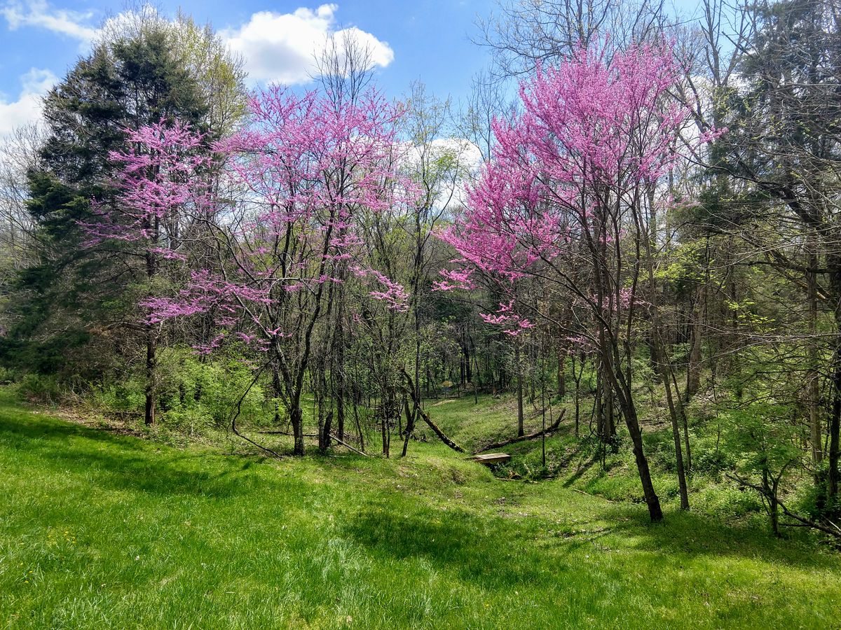 Hidden Ridge DGC
