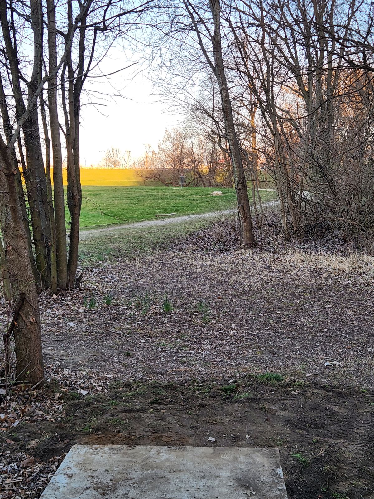 Teepad of 17 looking at basket.