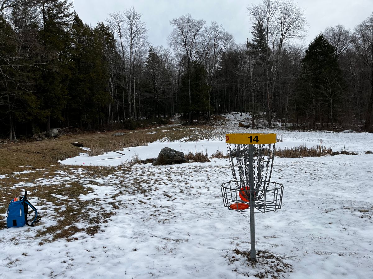 Hole 14 basket looking back towards teepad
