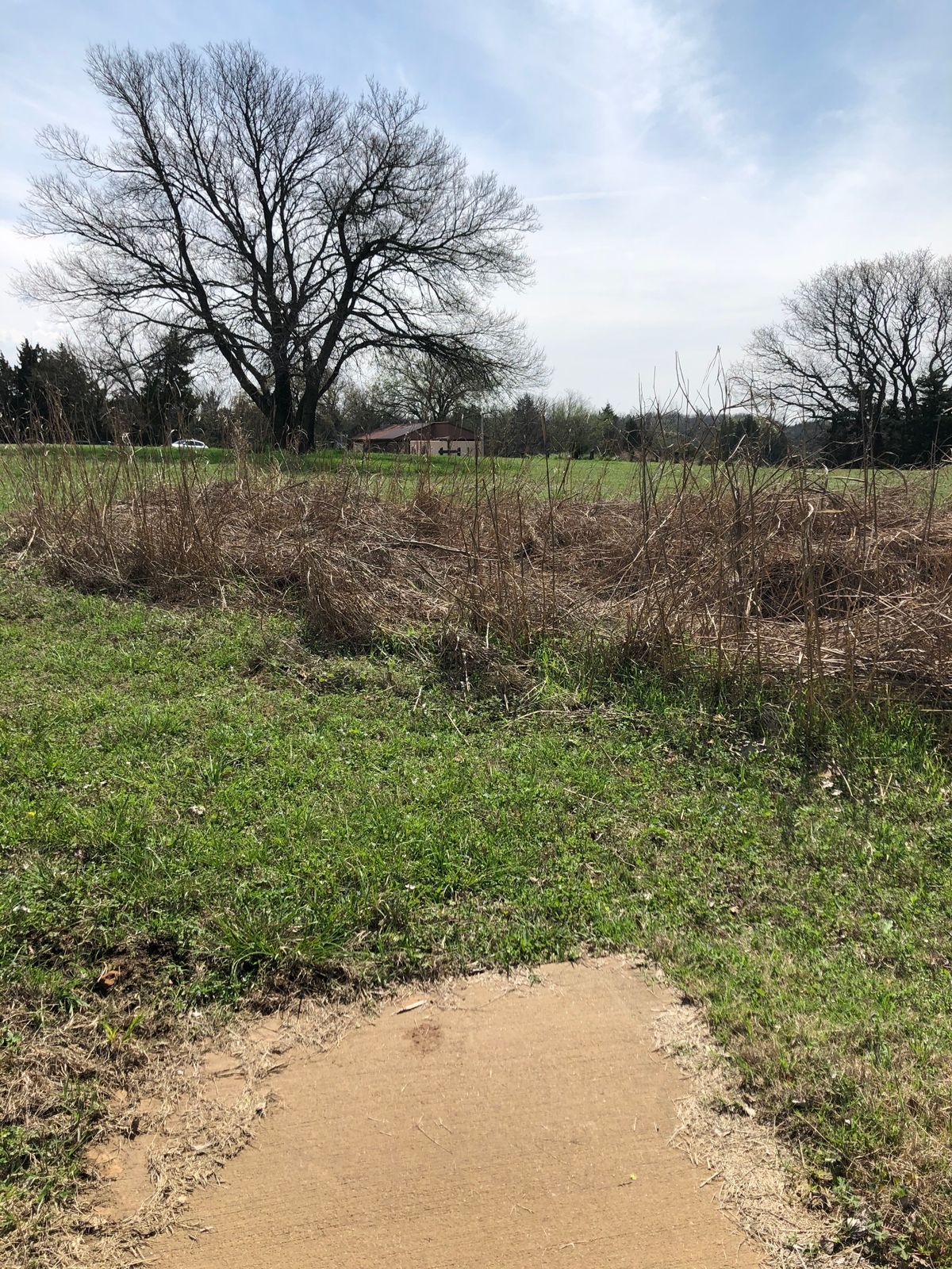 Hole 5 short 227’ OB road left and fence line behind basket.