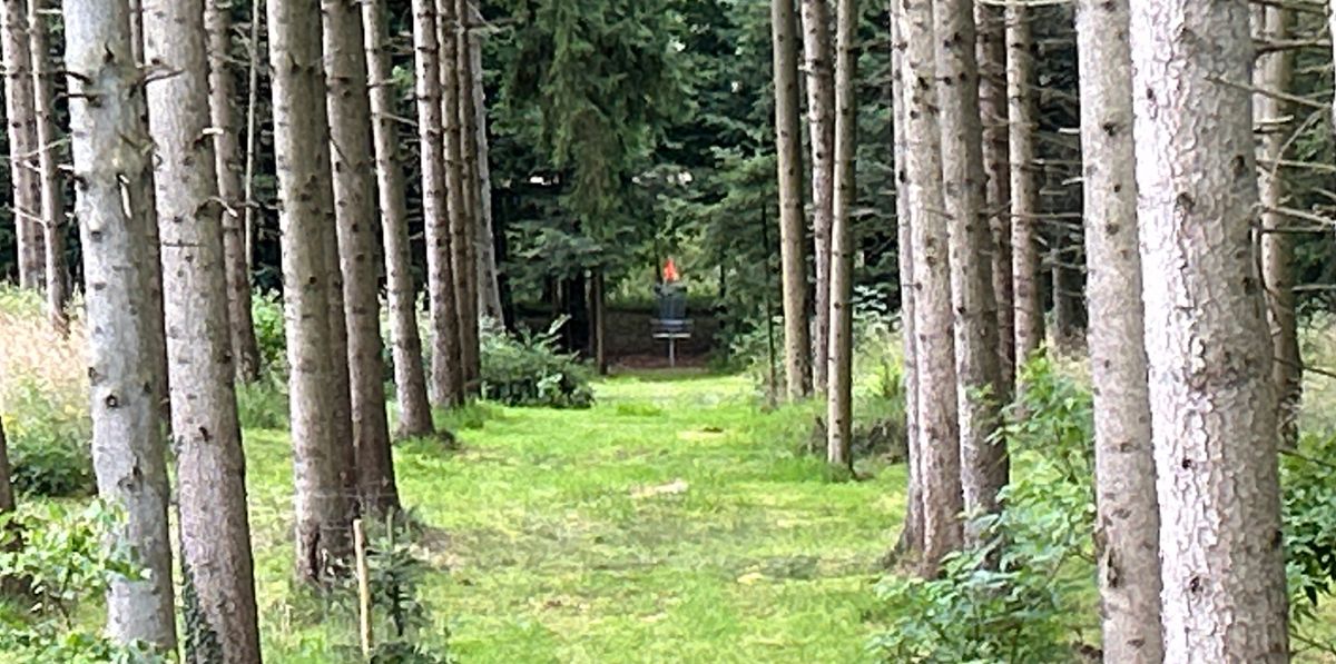 #4 - Good 93m par 4 - Hold the line