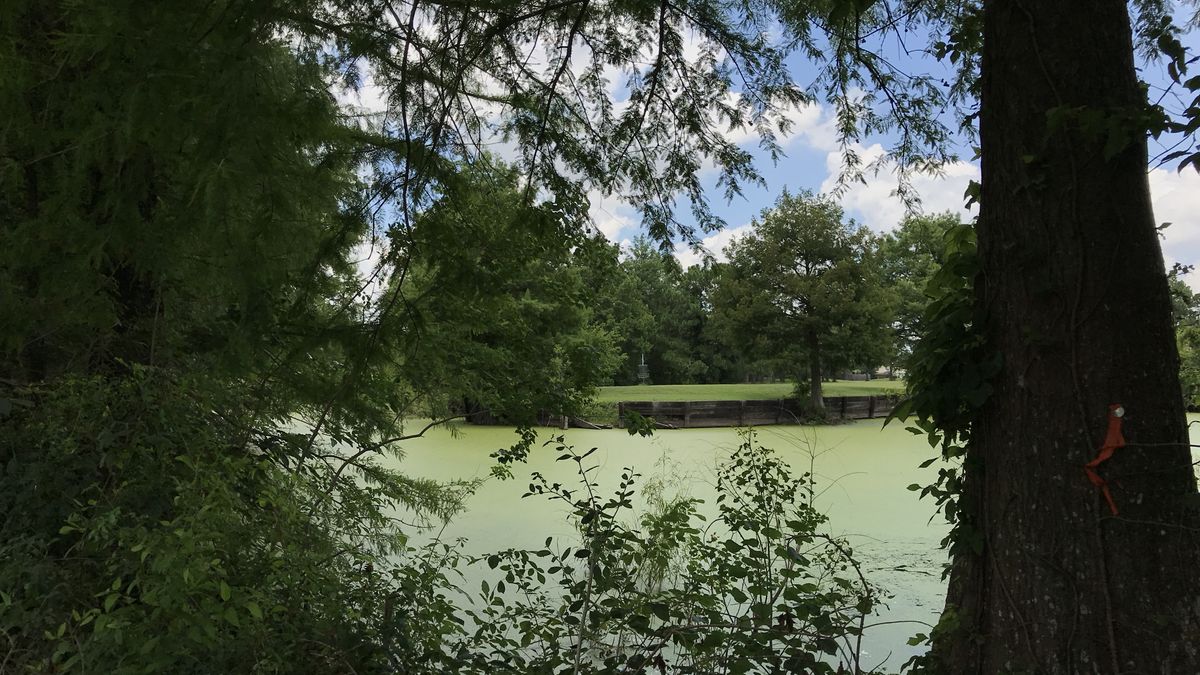 Hole 14