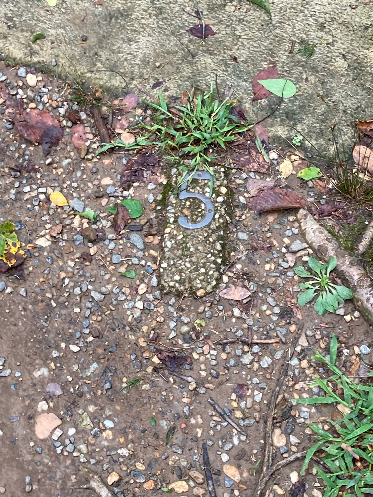Looks like an original tee pad marker from 1984
