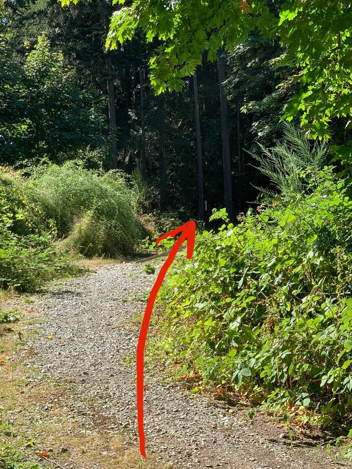 Hole 16: Full Nettle Jacket