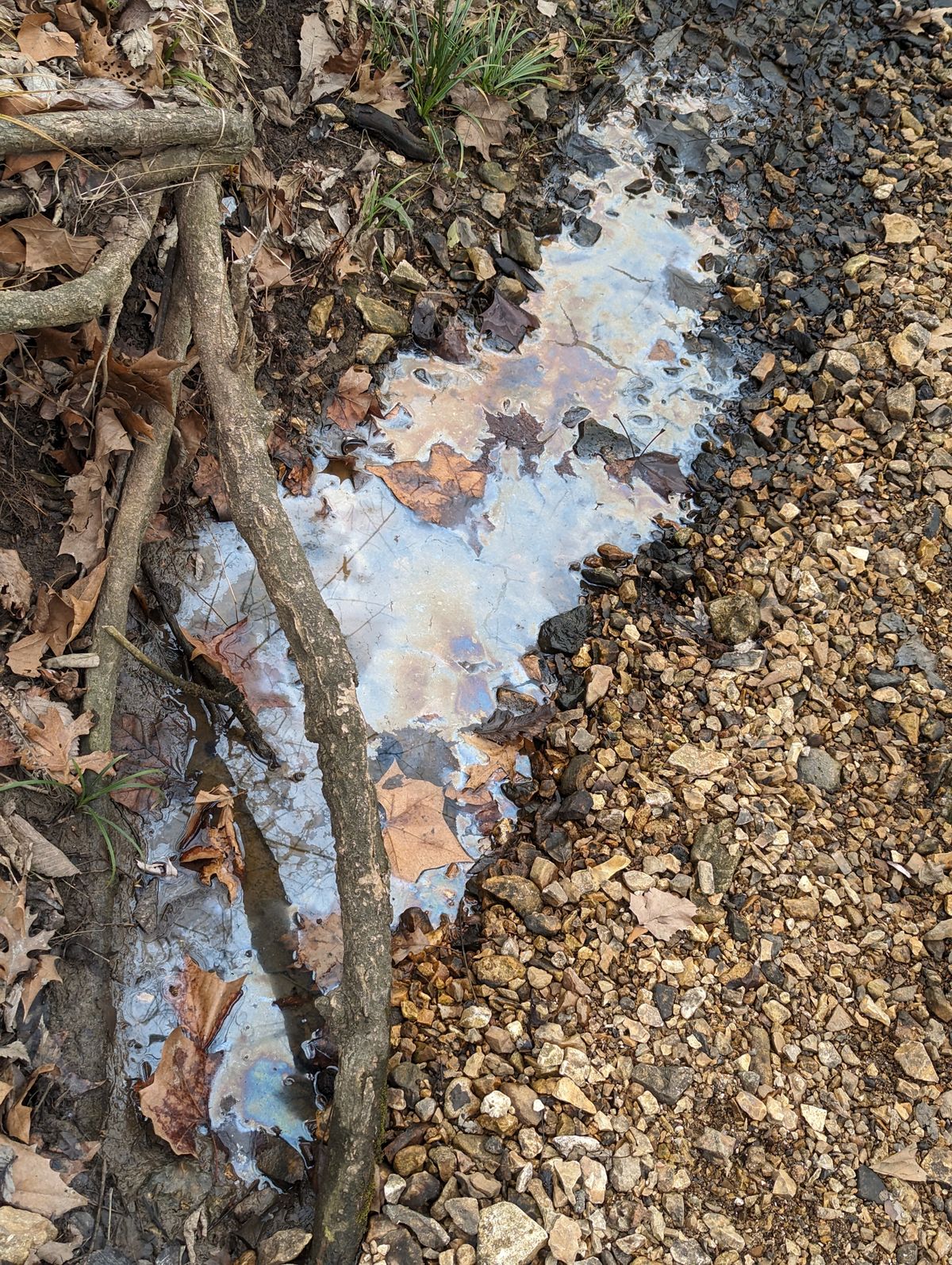 Oil. 😢